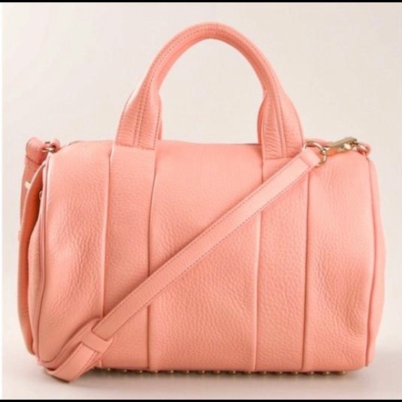 Alexander Wang Handbags - ‼️traded‼️